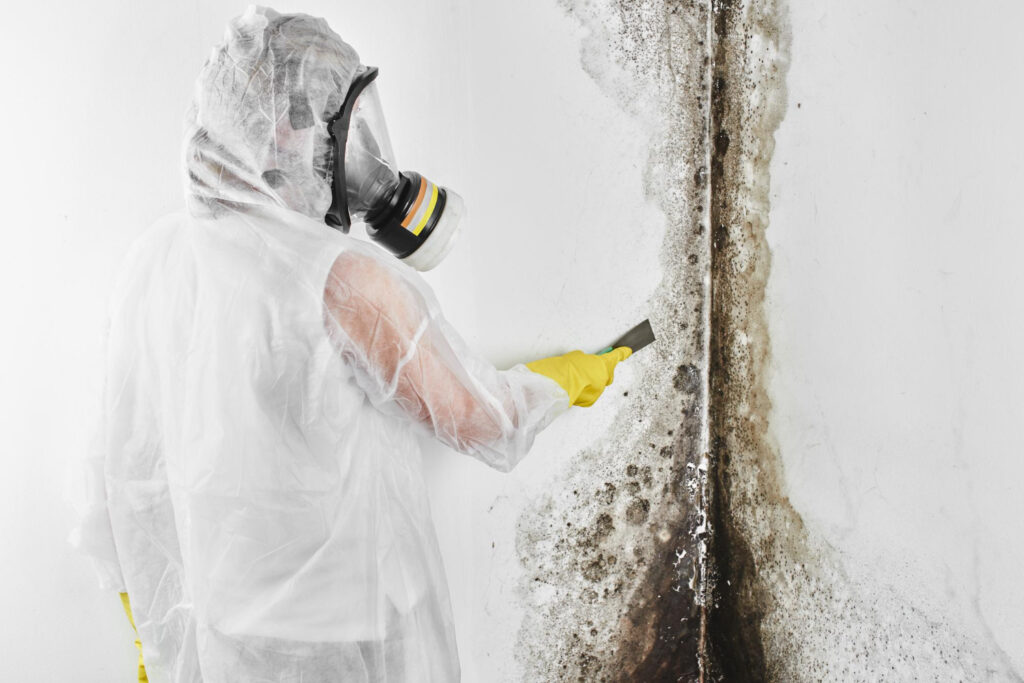 Mold Toxicity